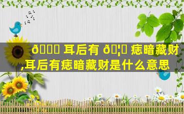 🐞 耳后有 🦍 痣暗藏财,耳后有痣暗藏财是什么意思